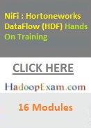 Apache NiFi (Hortonworks DataFlow) Training