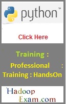Python Professional Training