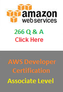 AWS Developer Certification : Associate Level