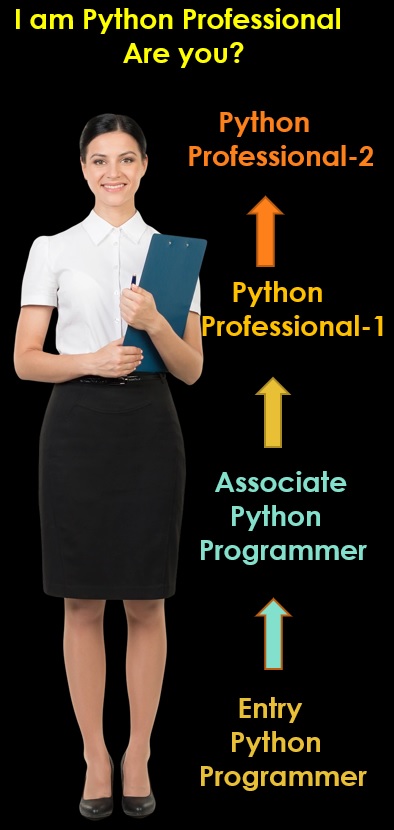 Python Professional Certification